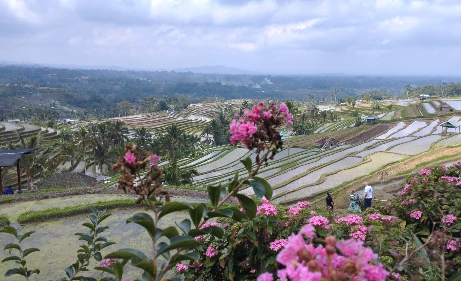 Heritage Jatiluwih Rice Terraces, Bali